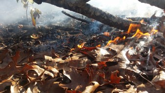 2016-warwick-pisgah-national-forest-grandfather-rd-clinchfield-railroad-oak-leaf-fire-close-up-1.jpg